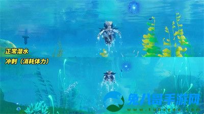 原神枫丹潜水方法介绍